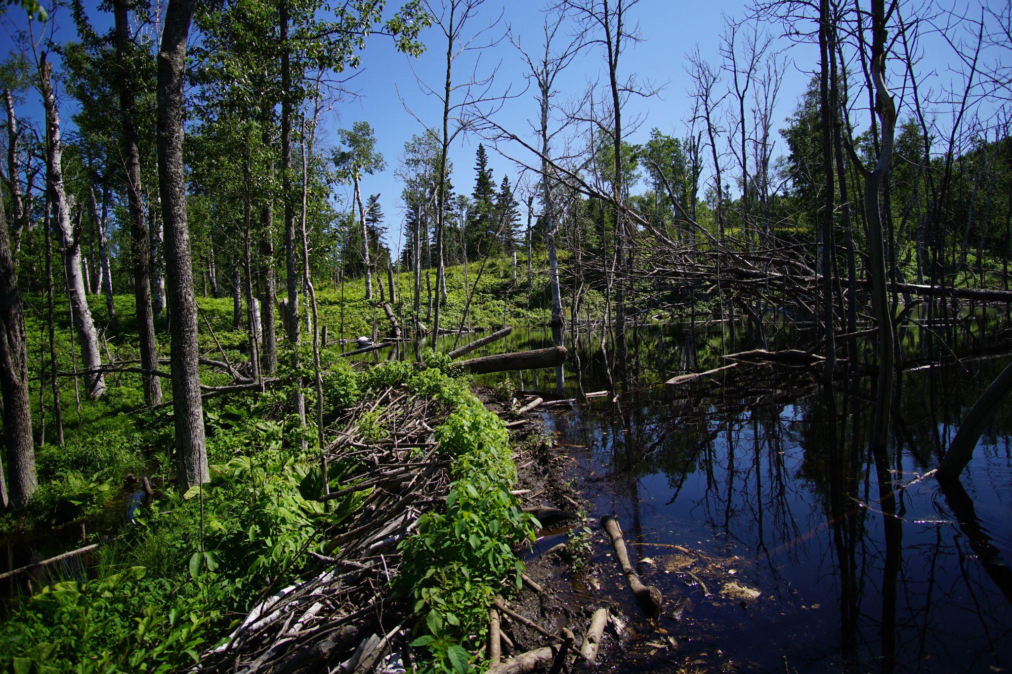 Image 14