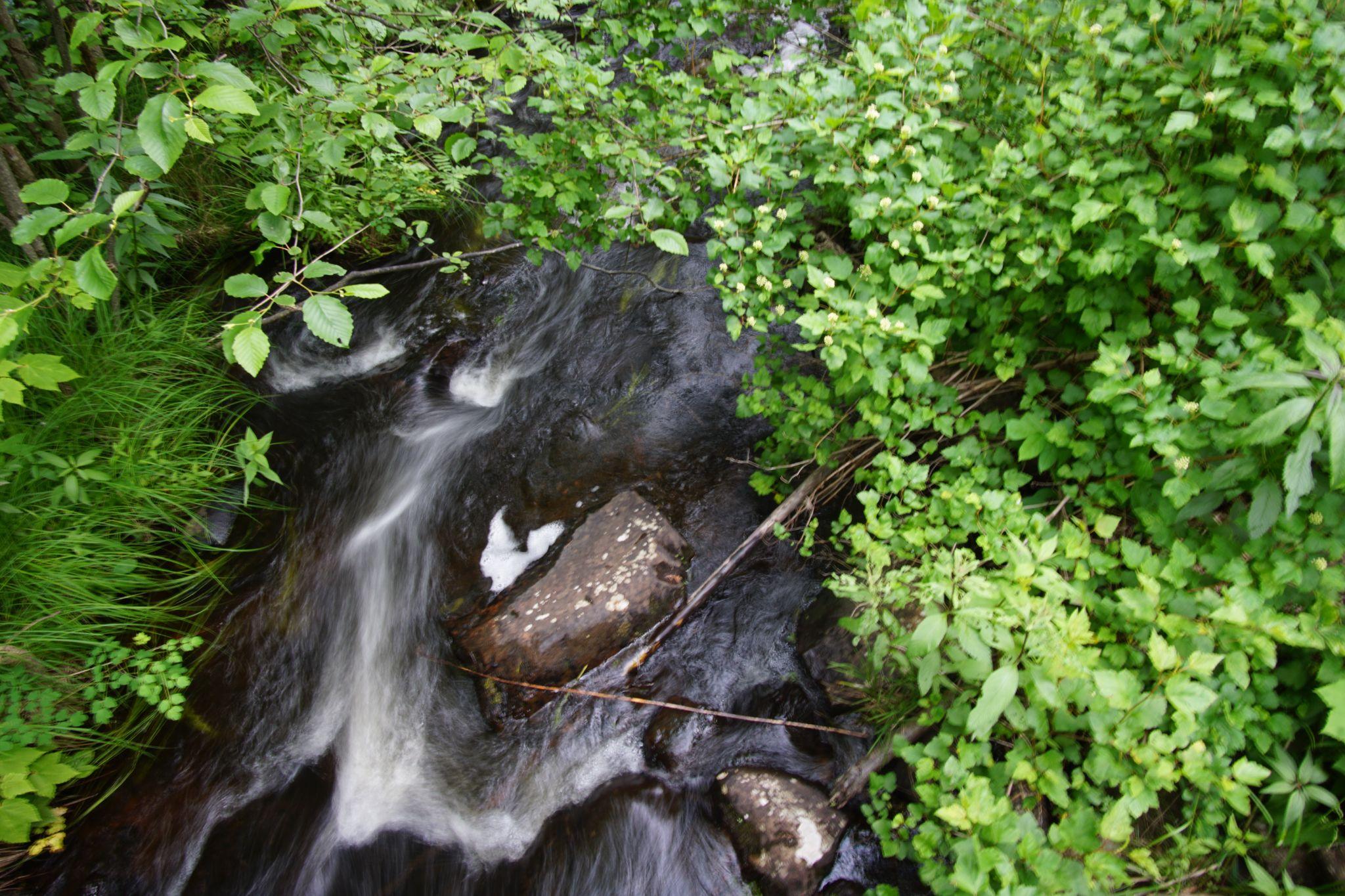 Stream