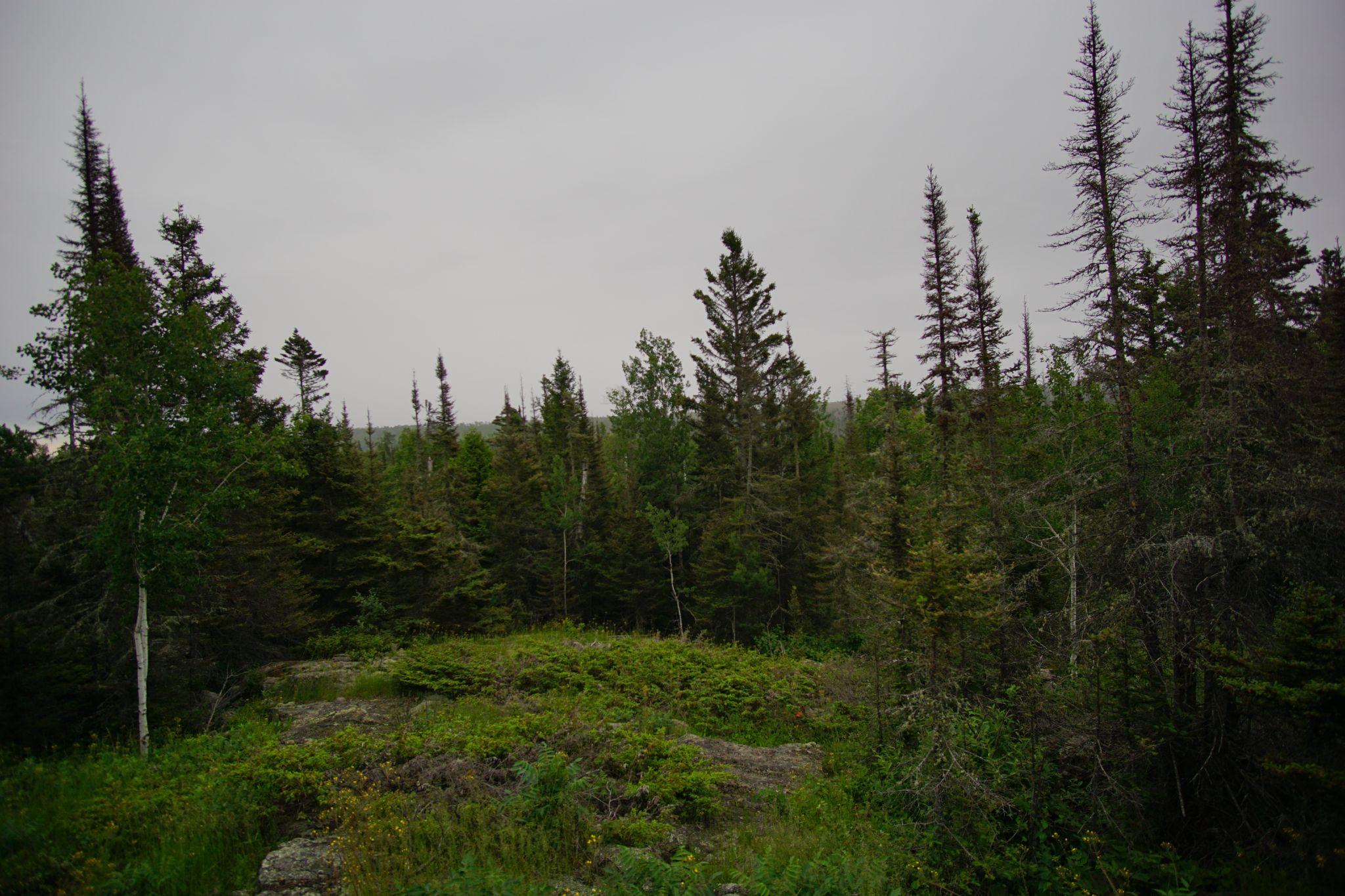 Storm on Isle Royale