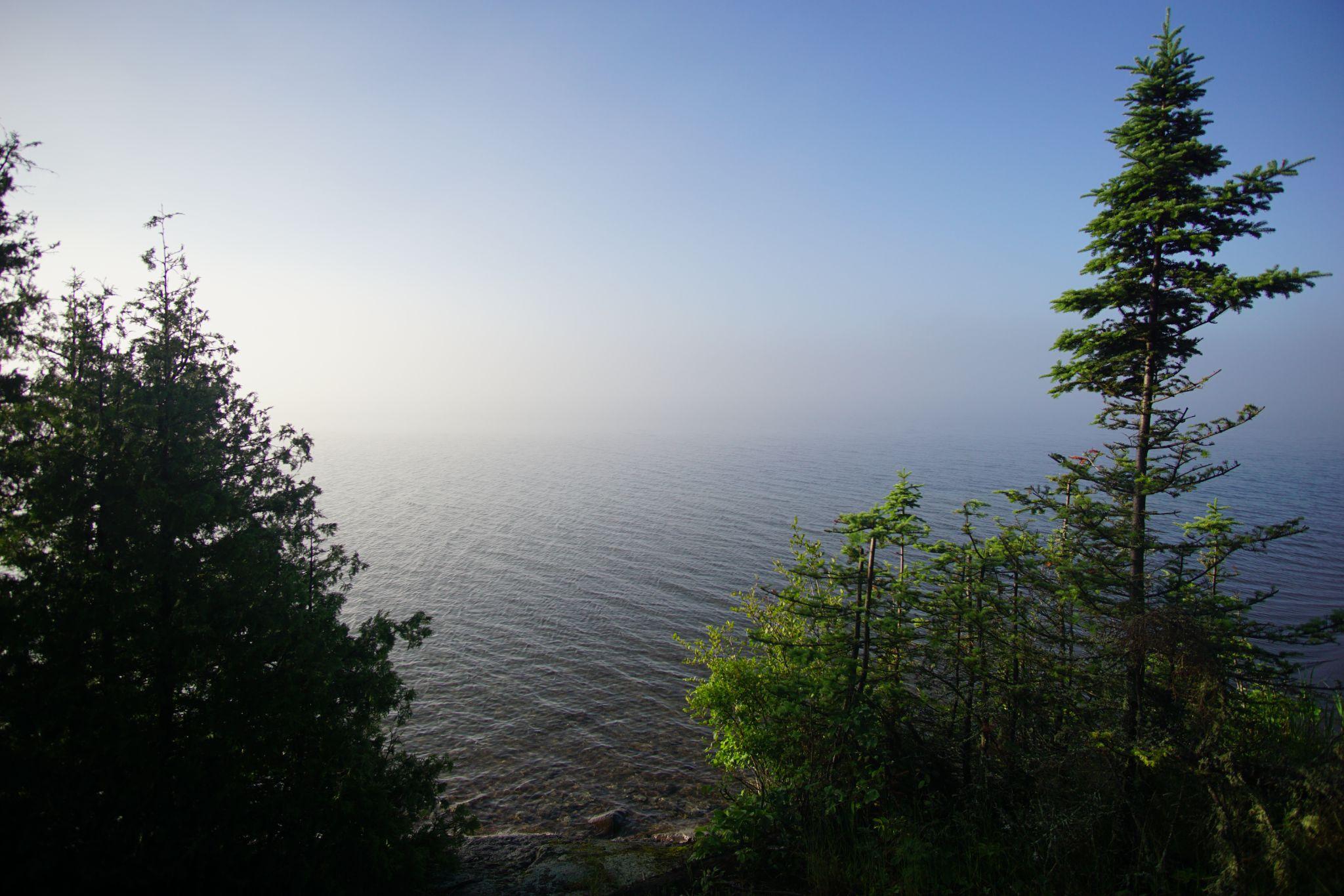 Misty Morning