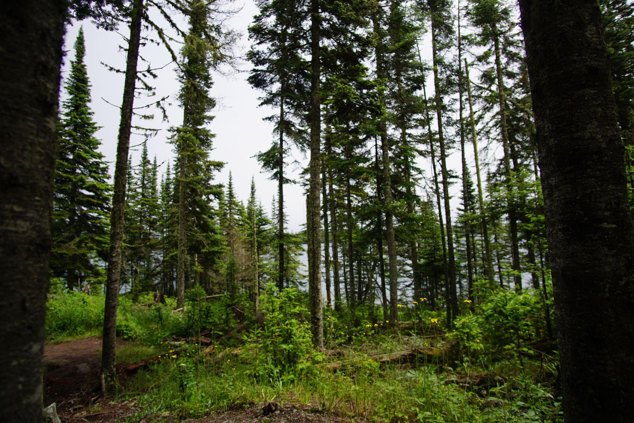 We turned into the interior passing lakes, as we climbed in elevation.