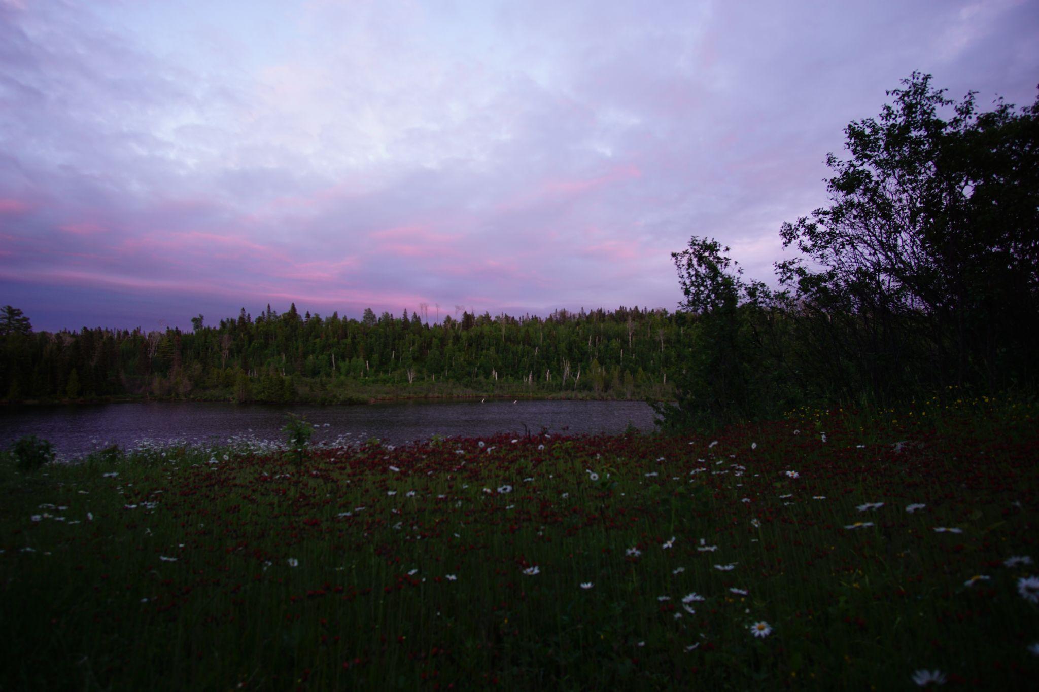Streaks of periwinkle threaded a velvet sky.