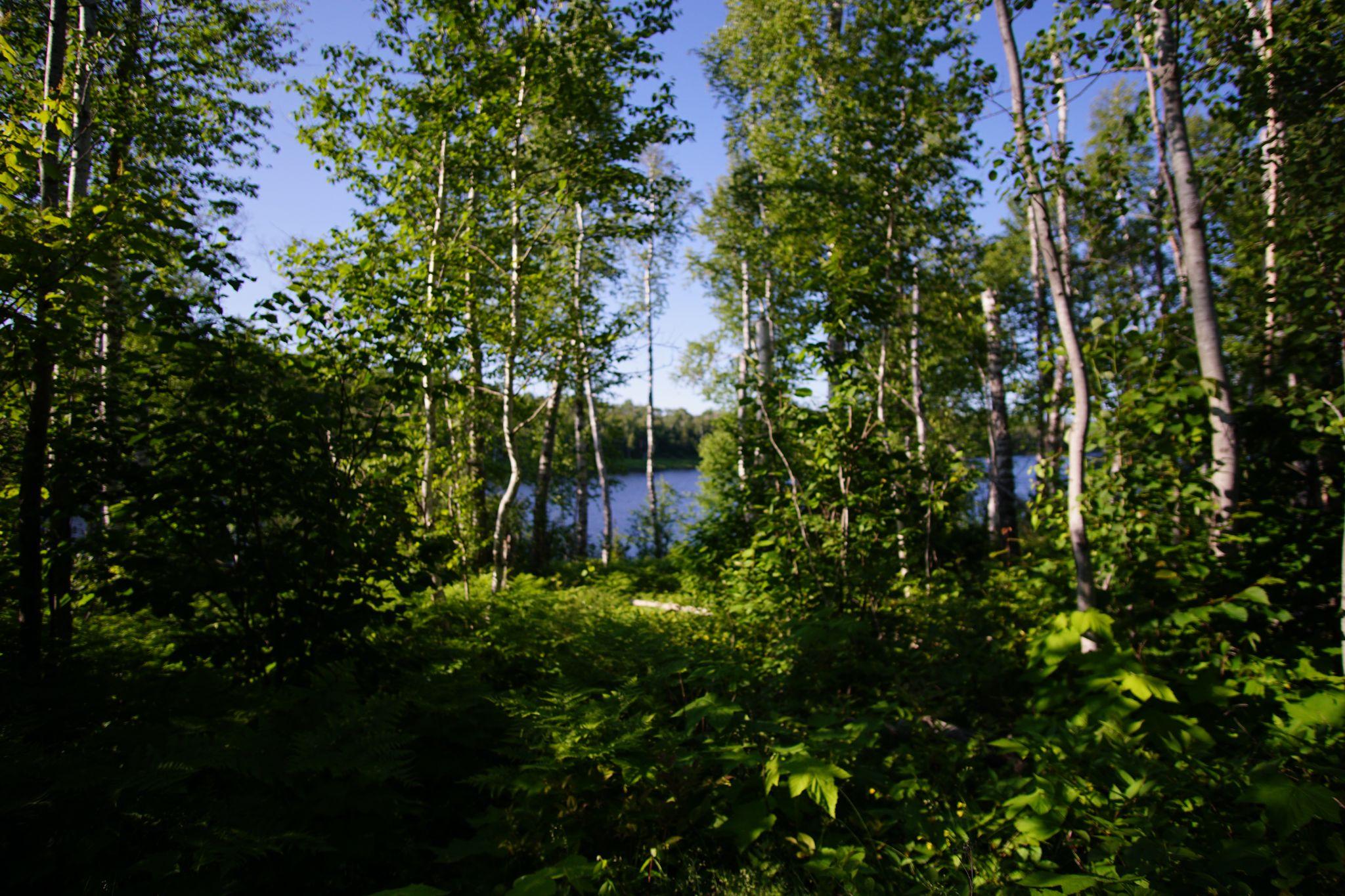 Image 24
